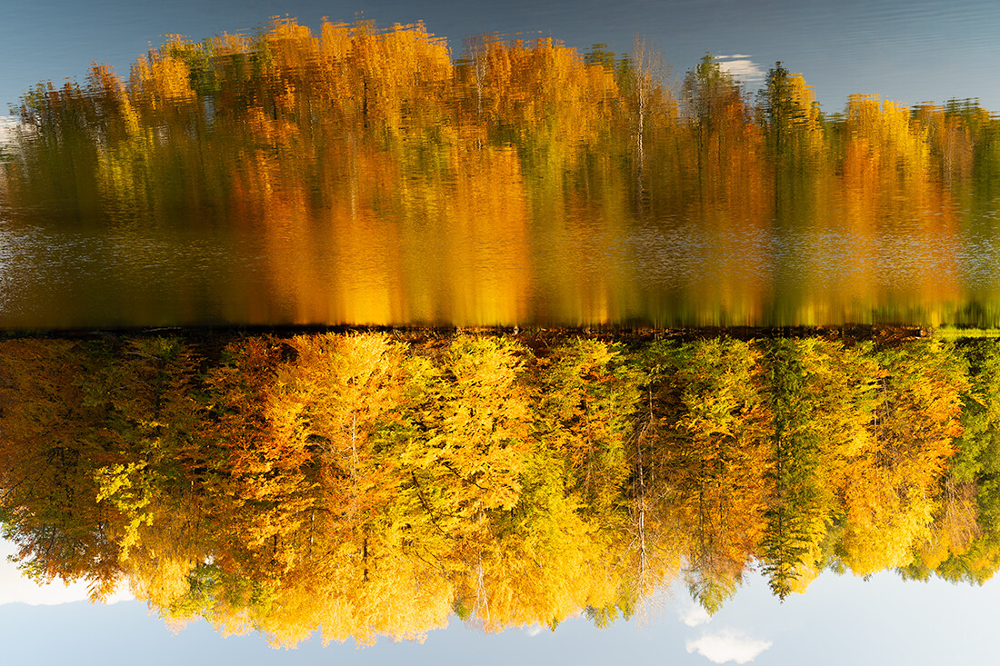 Odwrócone lustro jesieni (Listopad 2025)