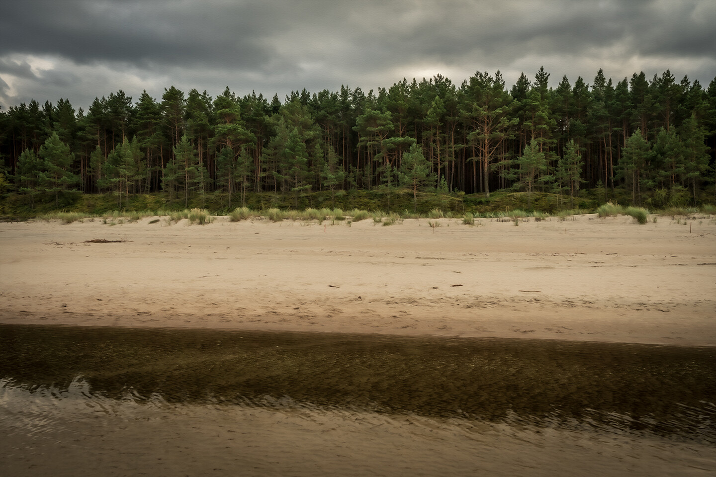 Morze patrzy na las (Listopad 2025)