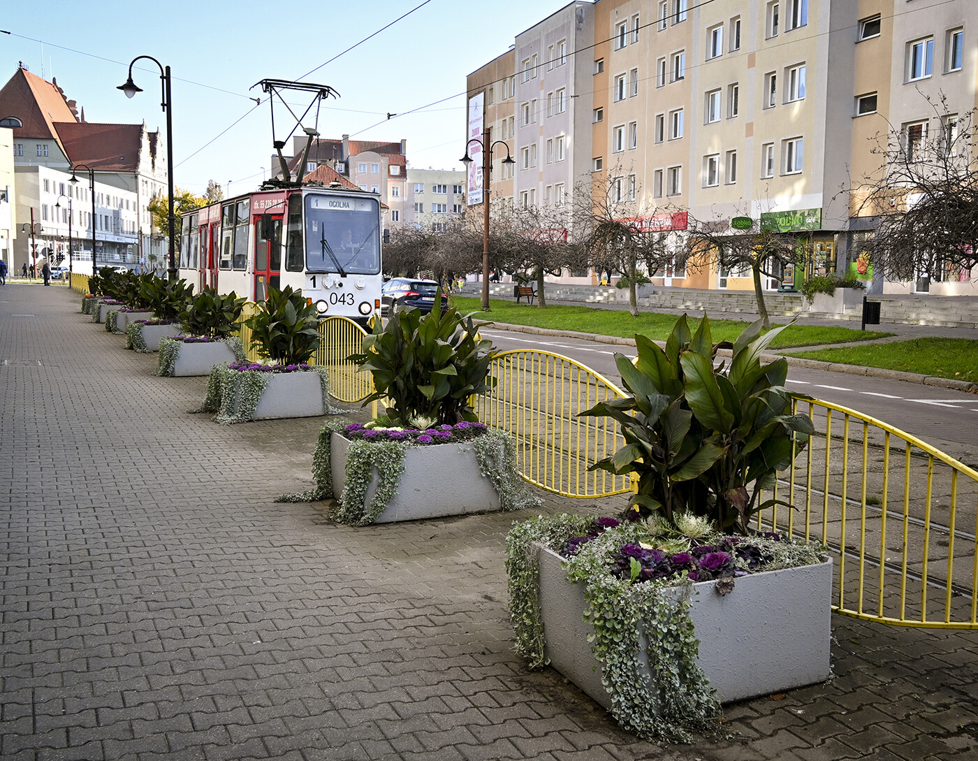 Gdzie tramwaj spotyka zieleń (Listopad 2025)