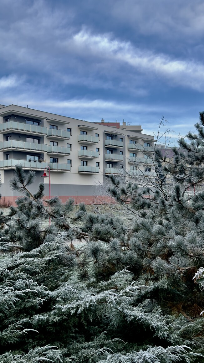 Mruz zmroził (Listopad 2025)