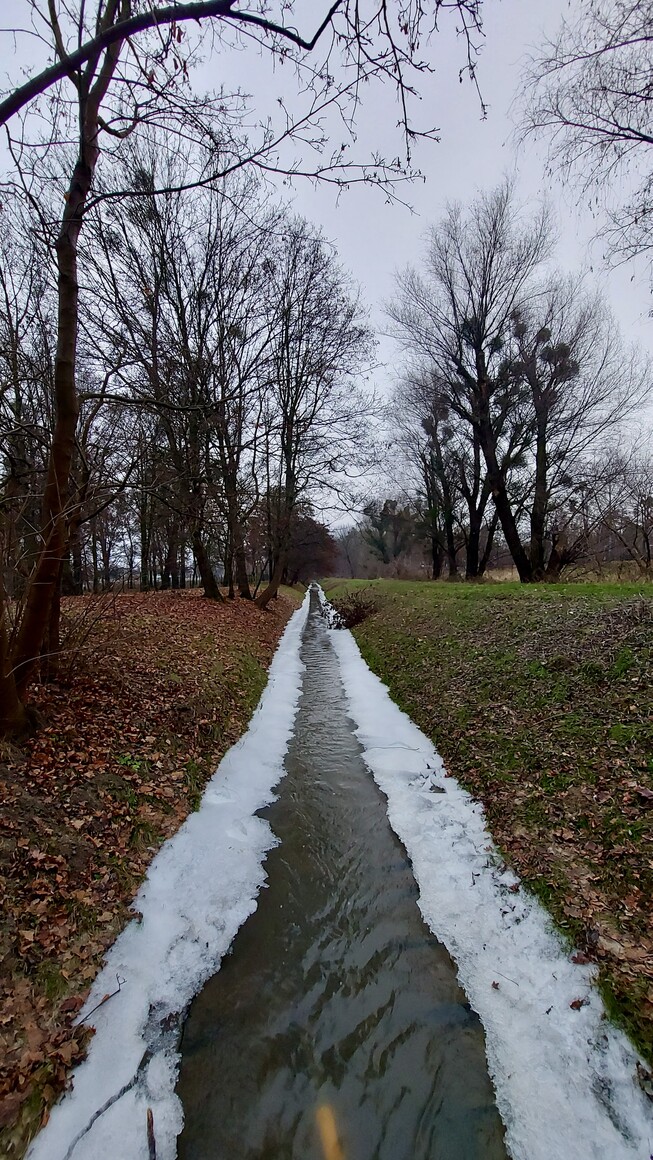 W lewo jesień, środek zima a na prawo wiosna aby do lata