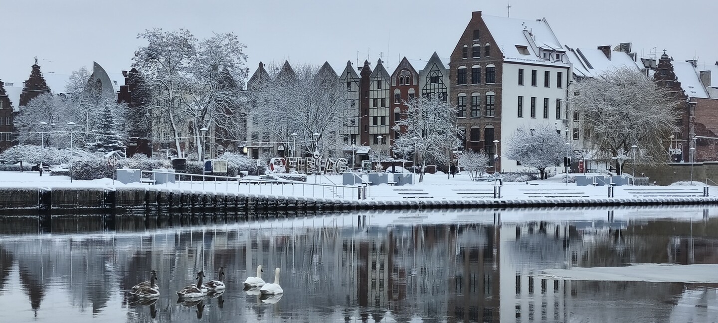 Dzień 365 (Styczeń 2026)