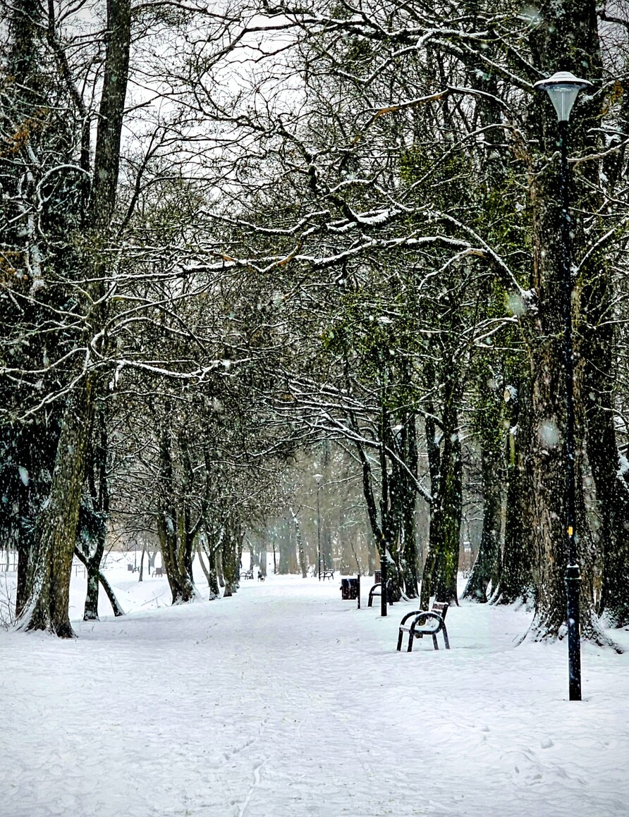 Zimowy spacer (Styczeń 2026)