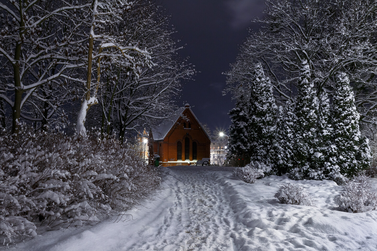 Zima w mieście (Styczeń 2026)