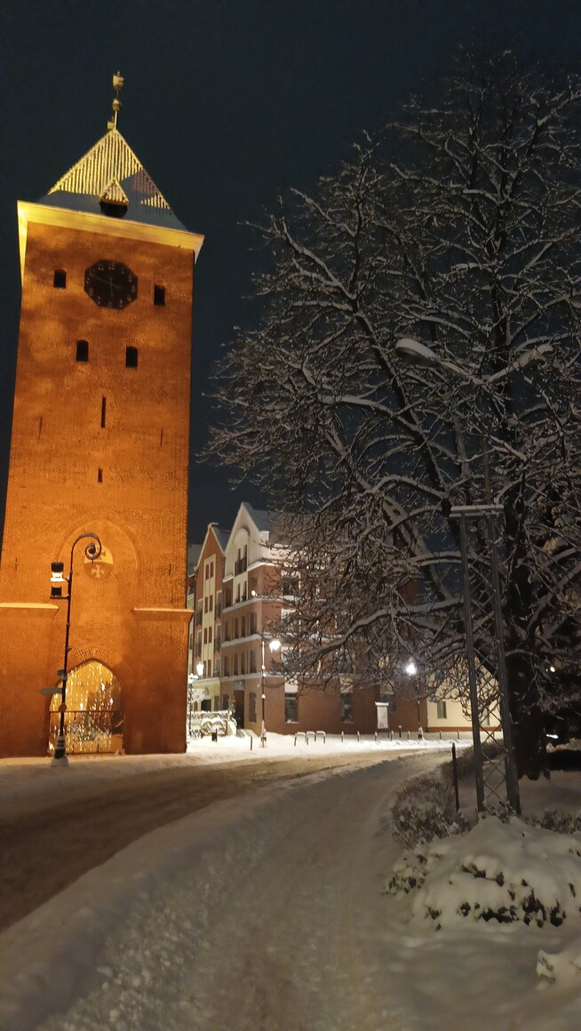 Brama w śnieżnej oprawie