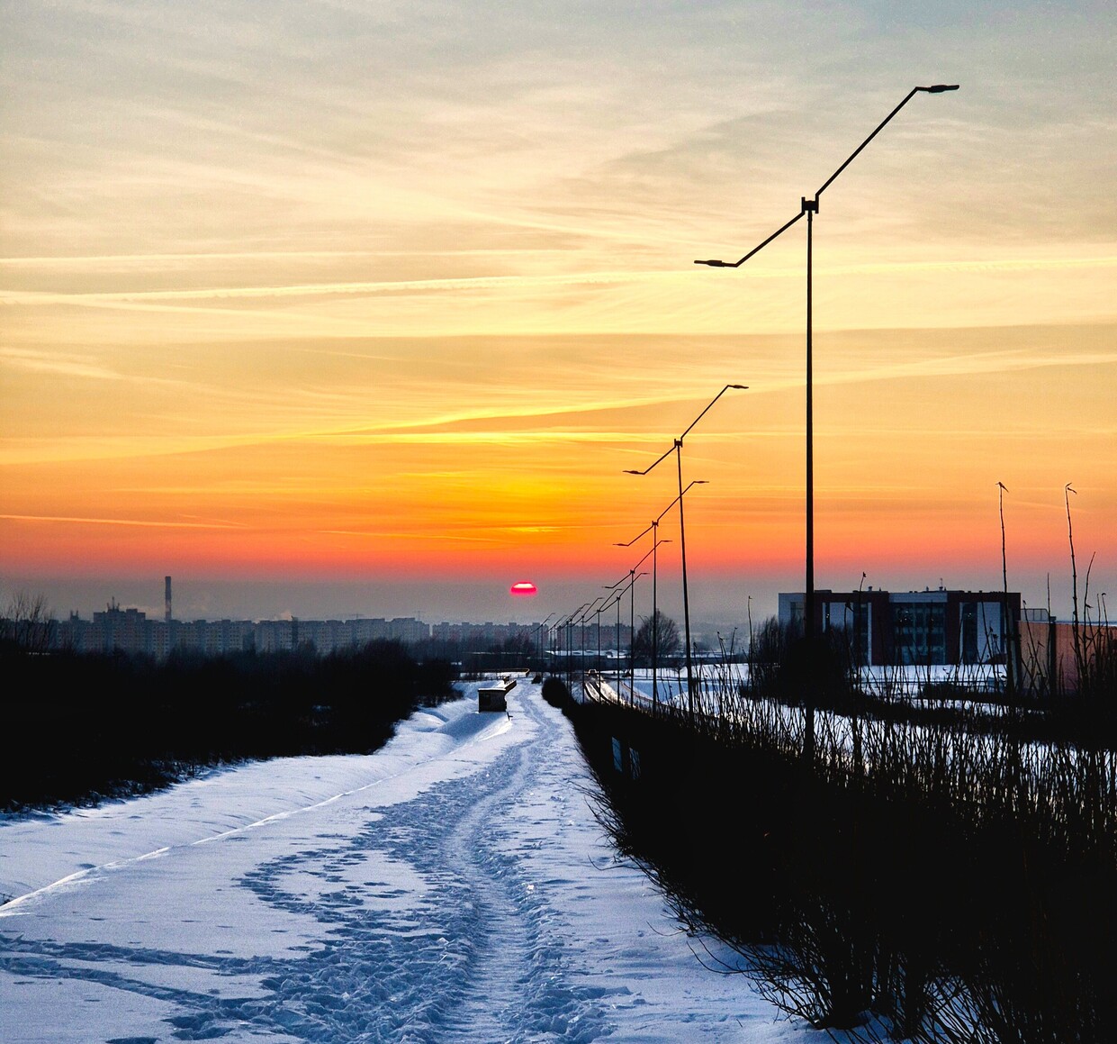 W stronę słońca (Luty 2026)