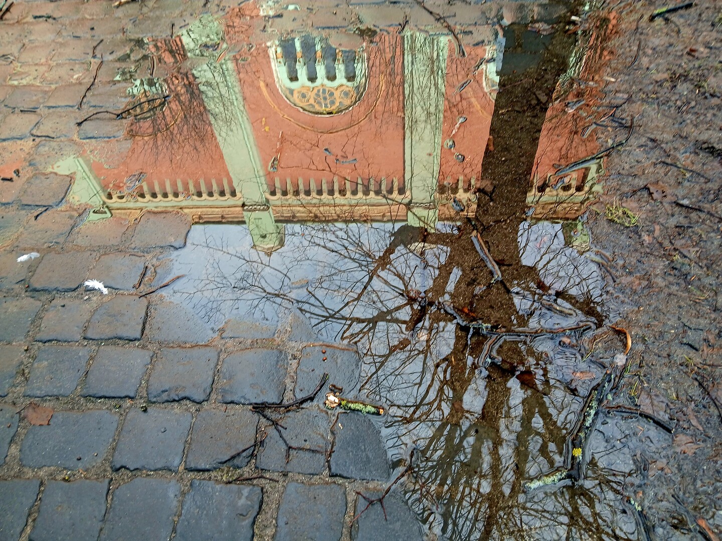 Co widziałam w kałuży