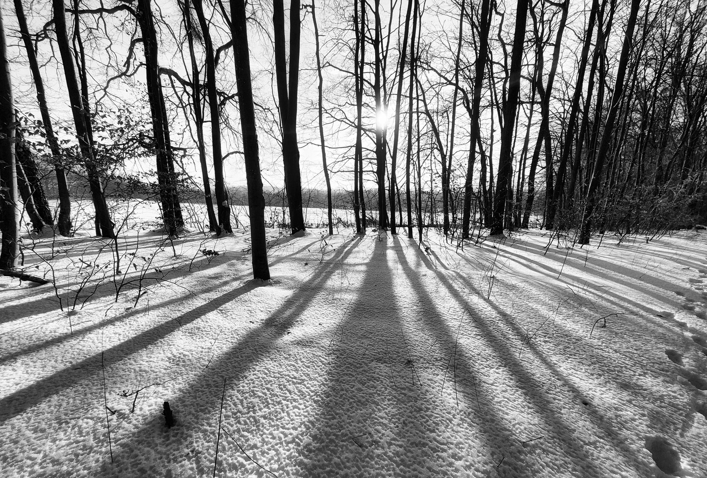 Rysowane słońcem (Luty 2026)