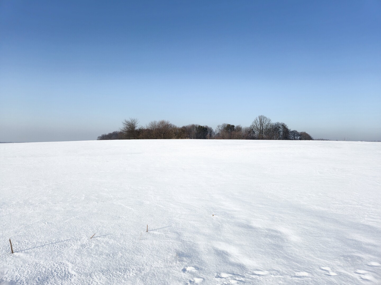 Białe pole (Luty 2026)