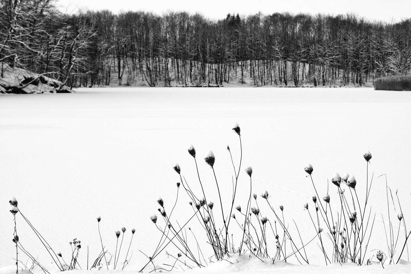 Białe jezioro (Luty 2026)