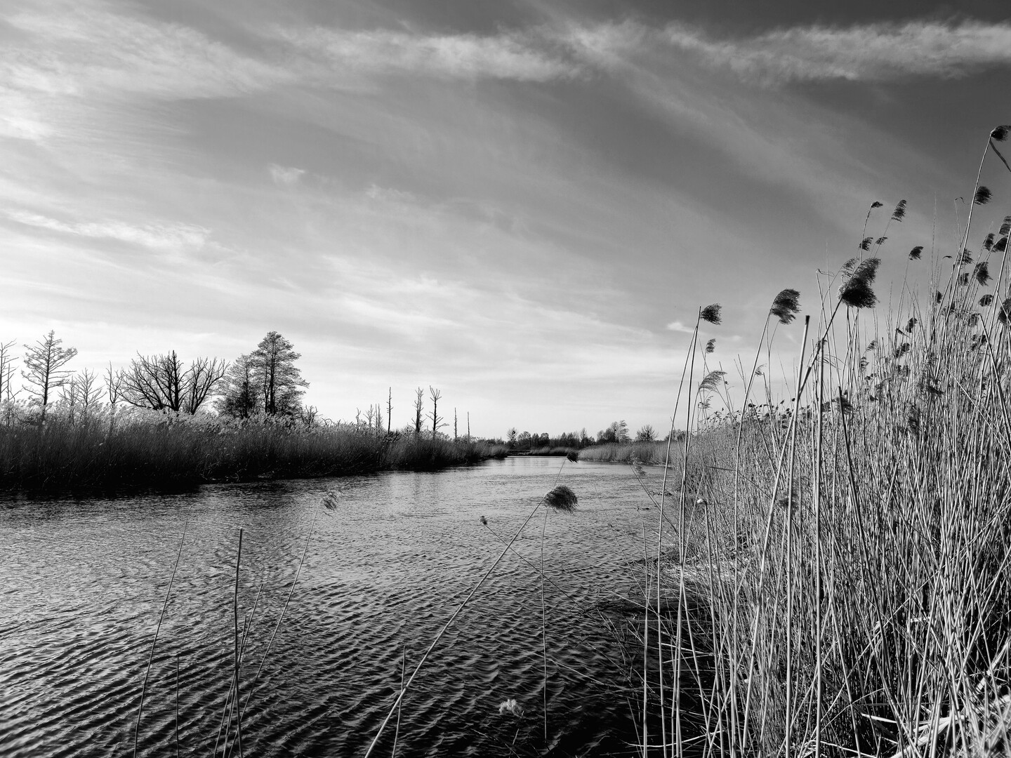 Rzeka Elbląg (Marzec 2026)