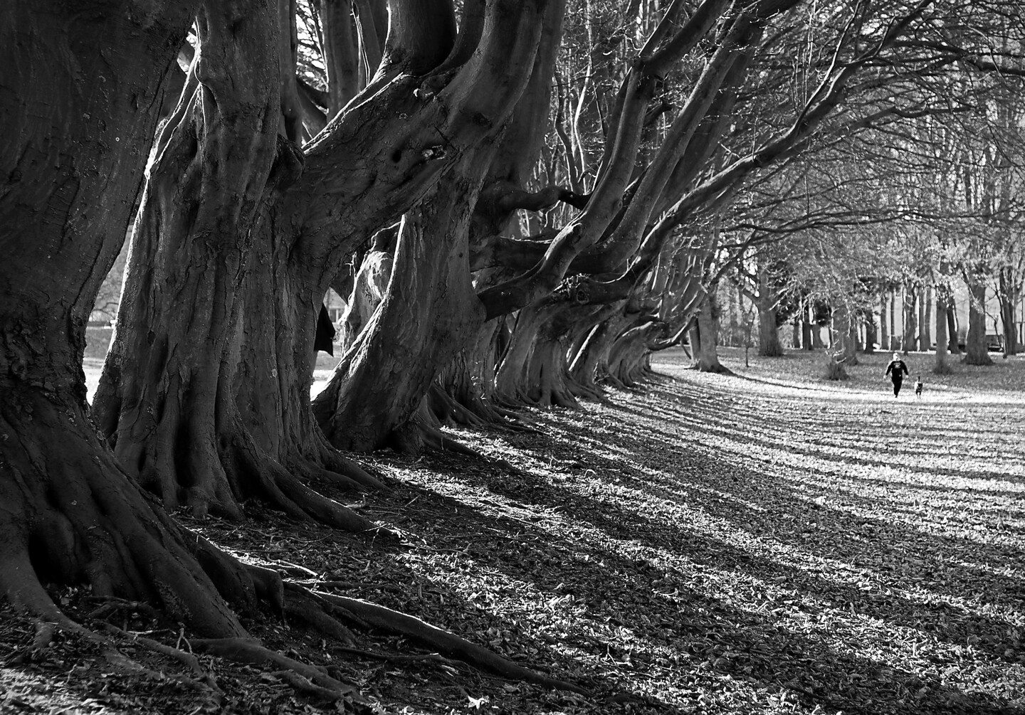 "Tajemniczość" (Kwiecień 2026)