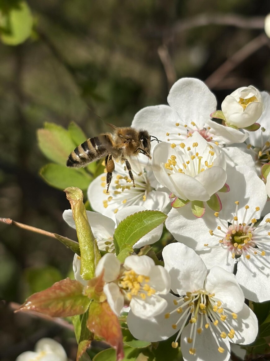 pfff... nie tylko sama przyszła