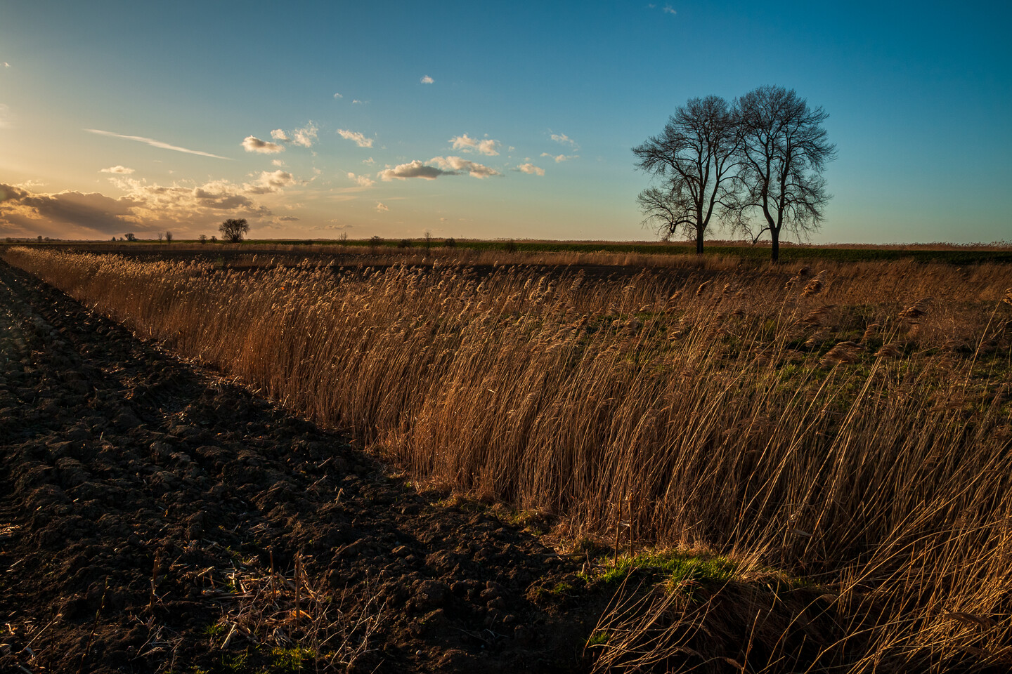 Krajobraz ascetyczny