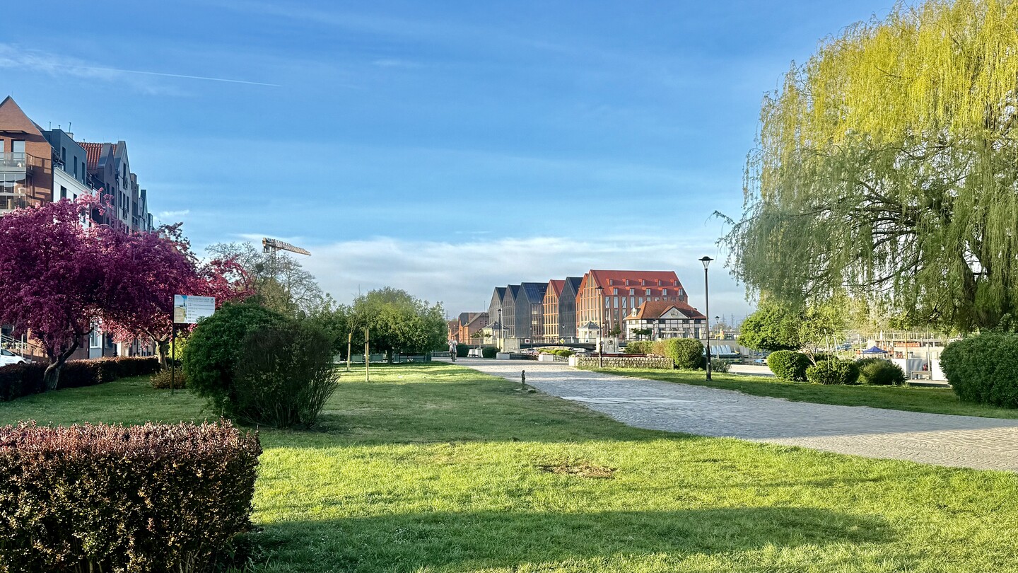 Wiosenny zielony poranek