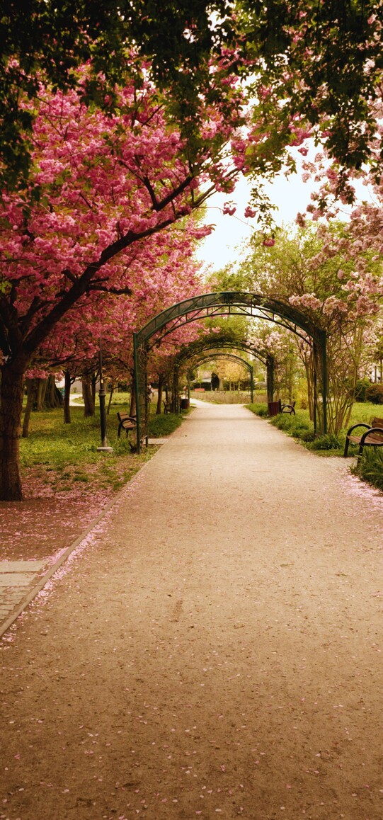 Park różany