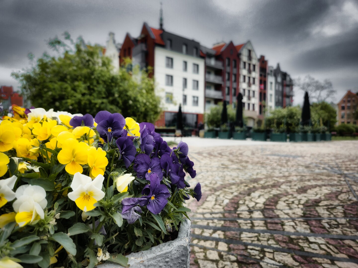 Stare Miasto