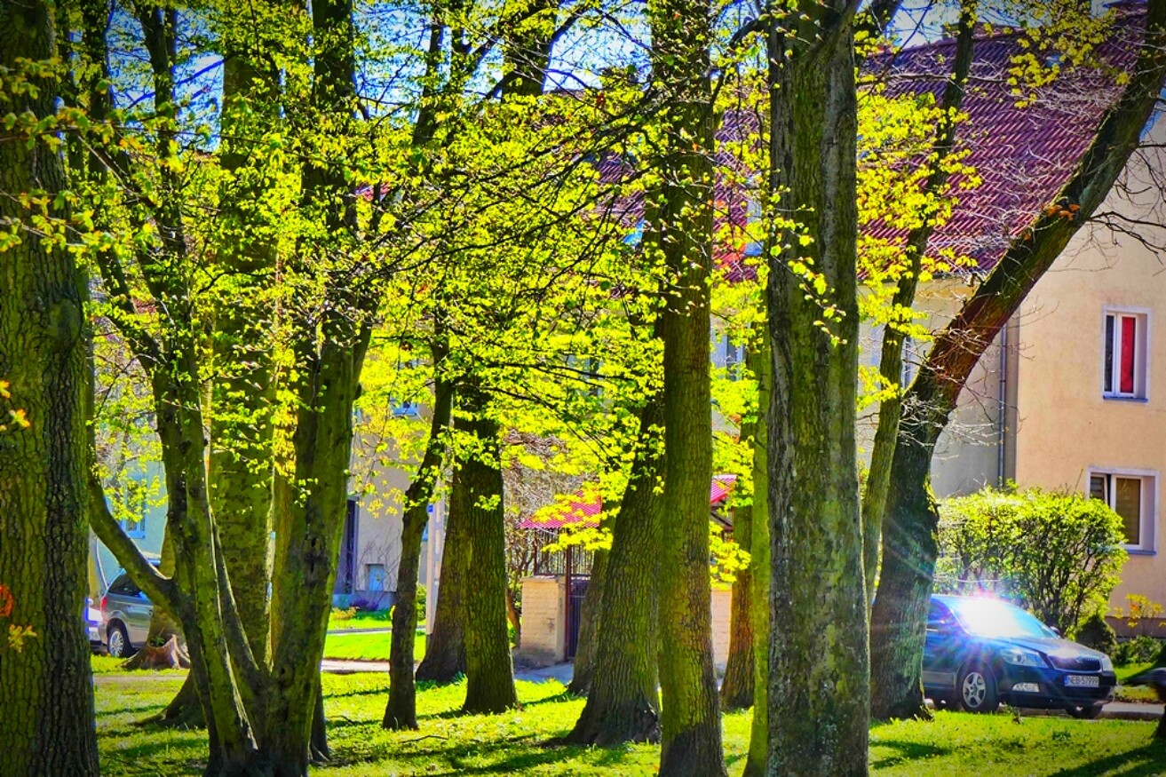 Elbląg