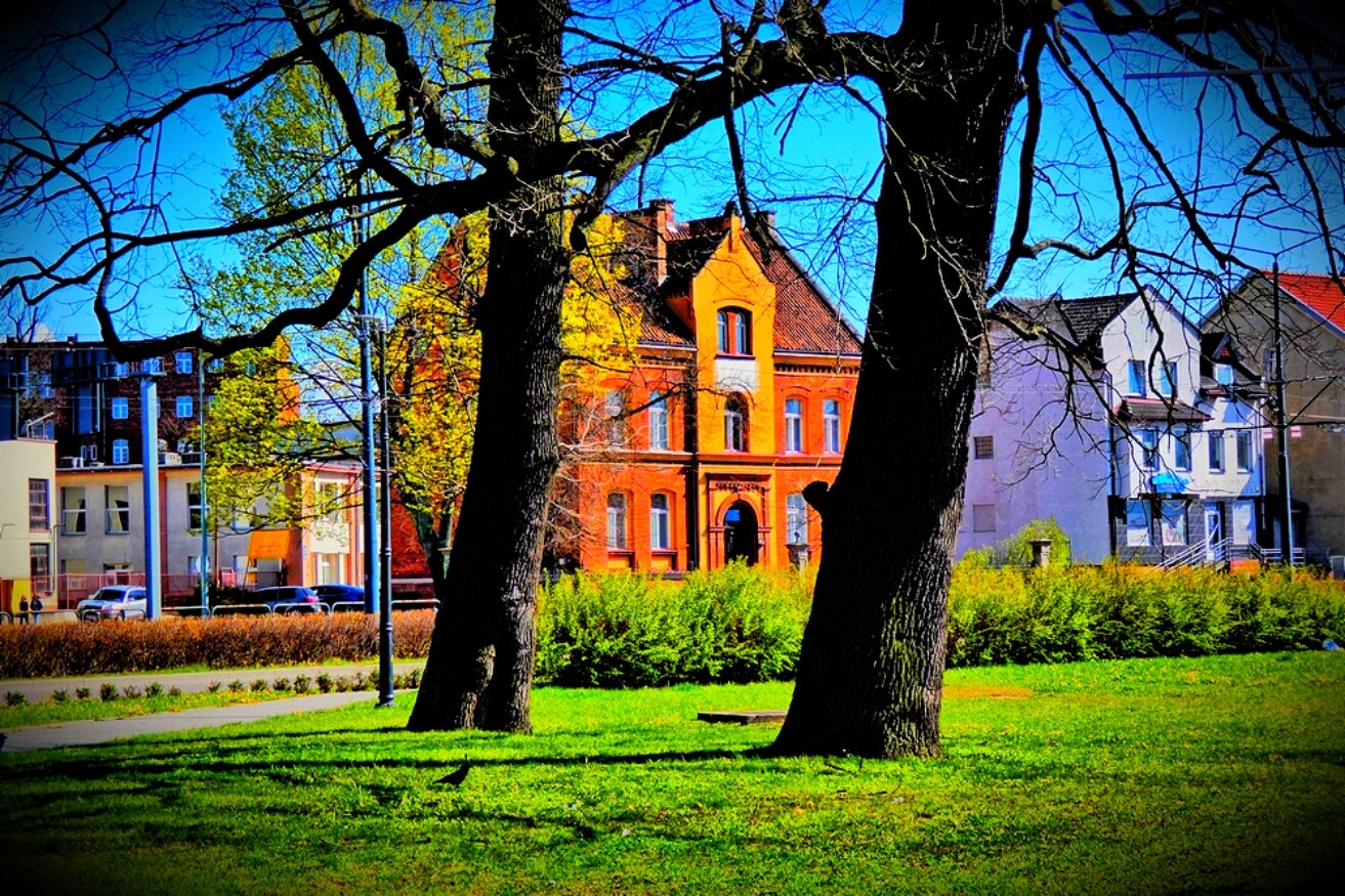 Elbląg
