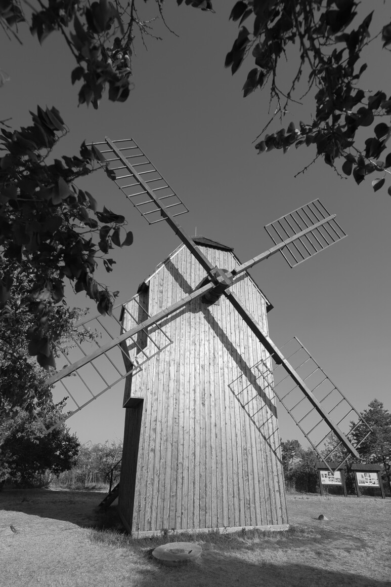 Vetrny Mlyn
