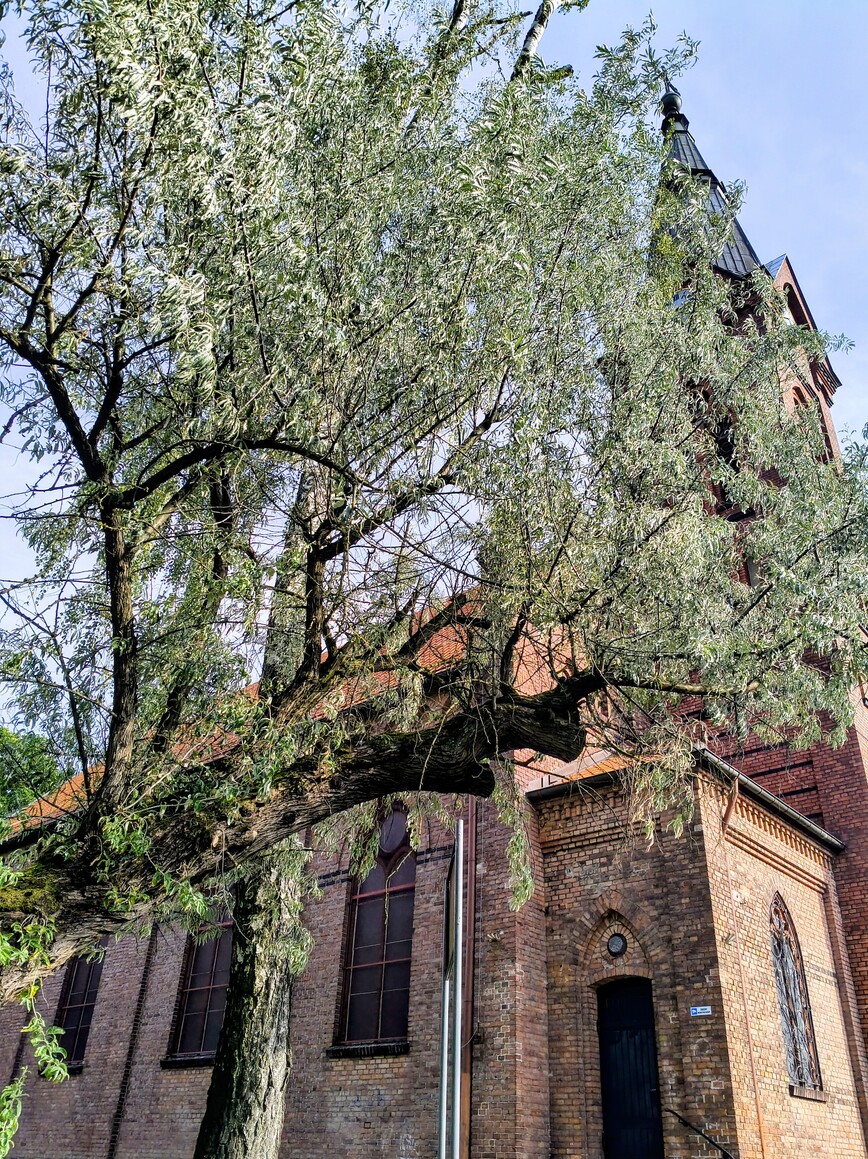 Miejsca Mojego Dzieciństwa