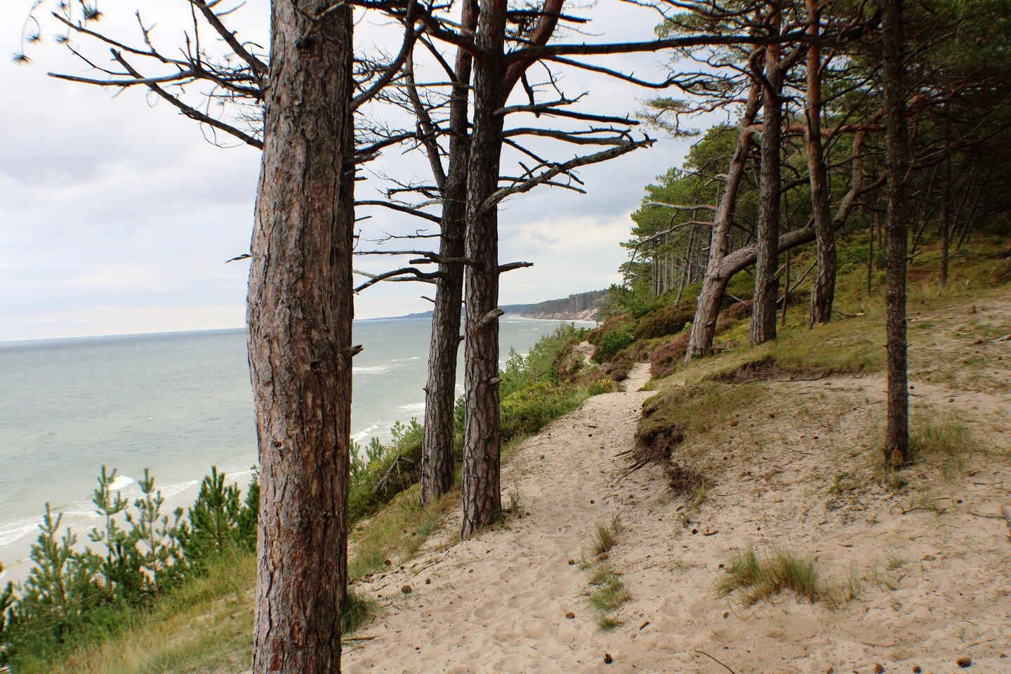Morskie widoki.