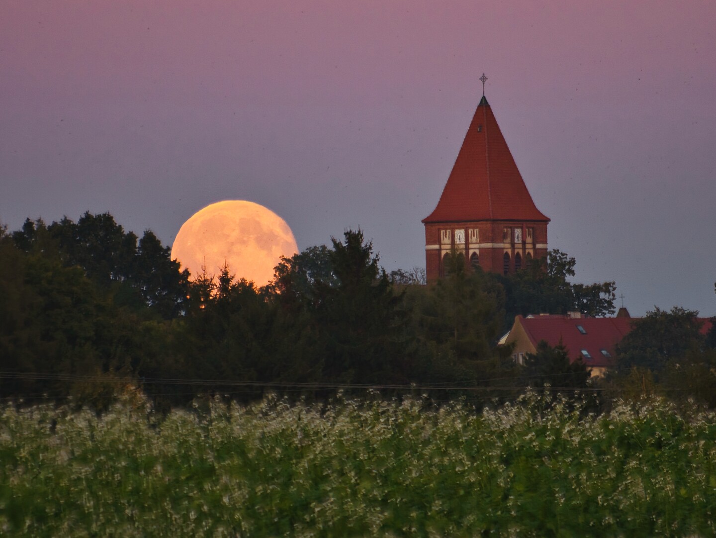 Nocne misterium Pasłęka.