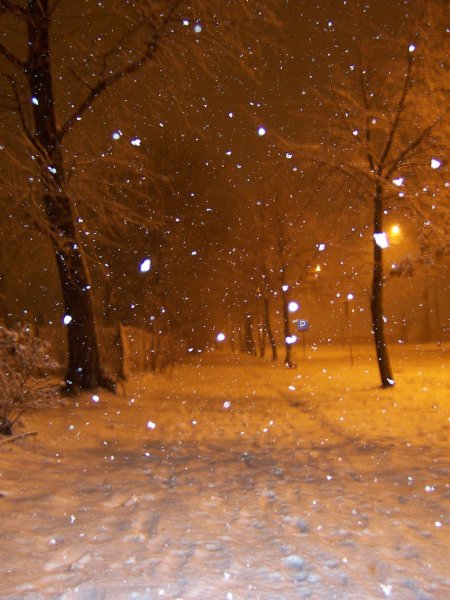 Pierwszy śnieg w Alei Odrodzenia