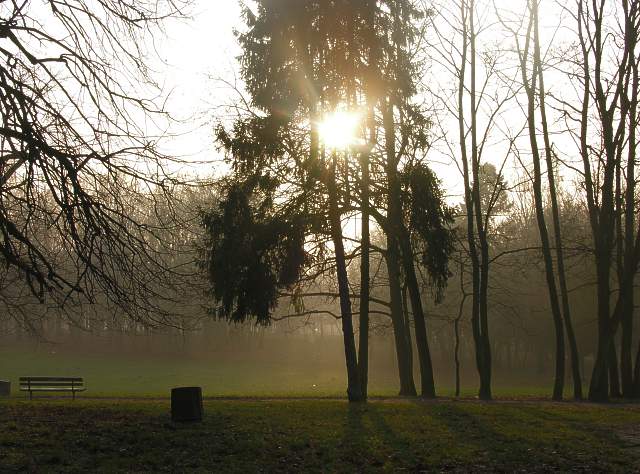 Poezja Parku Modrzewie (cz.1)
Zdjęcie nagrodzone w konkursie grudniowym (Grudzień 2004)