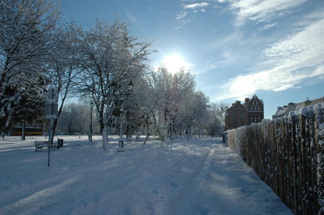 Zimowe popołudnie (Marzec 2005)