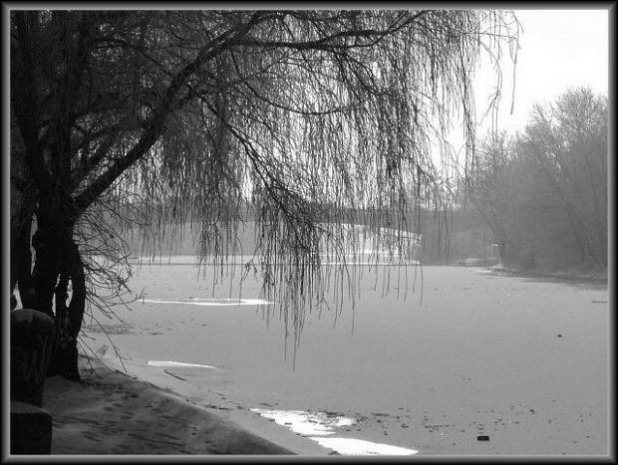 Bulwar
Zdjęcie nagrodzone w konkursie kwietniowym (Kwiecień 2005)