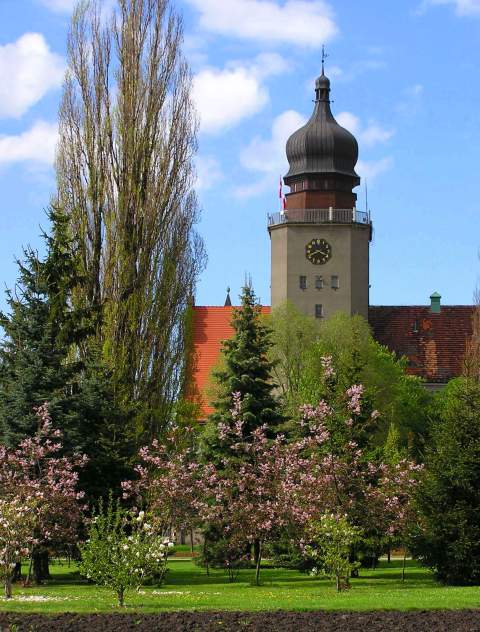 Ratusz (Czerwiec 2005)