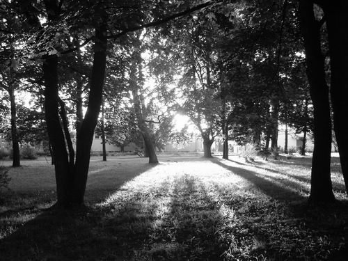 Park Modrzewia (Wrzesień 2005)