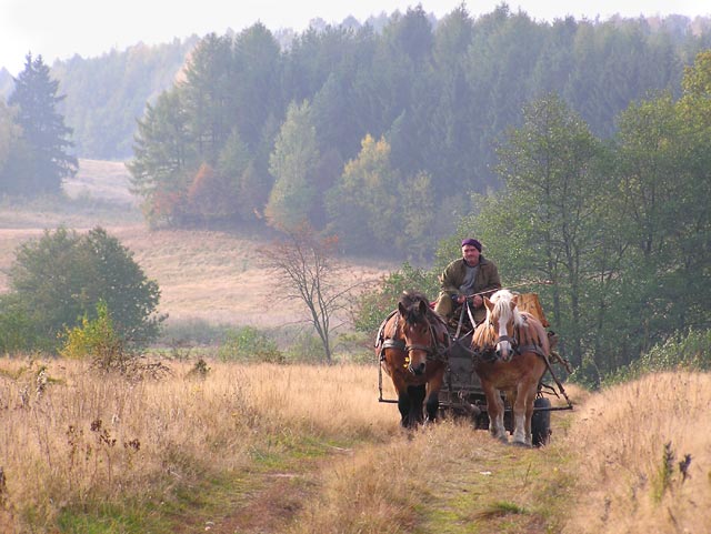 Gdzieś na Wysoczyźnie (Listopad 2005)