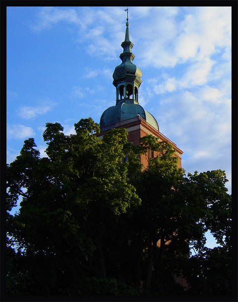 Wieża Radziejowskiego (Grudzień 2005)