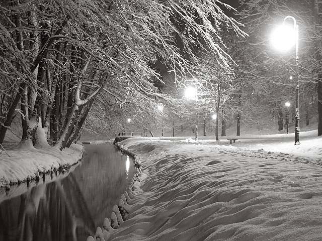 Śniegiem malowane.Zdjęcie nagrodzone w konkursie grudniowym. (Grudzień 2005)