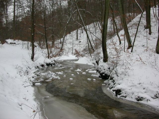  Popękana kra
