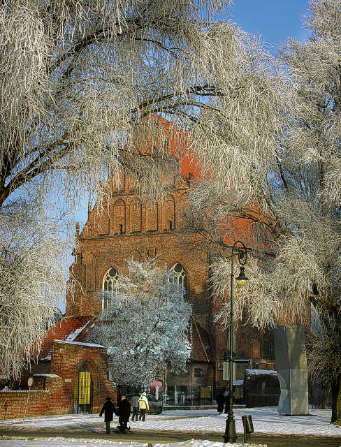 Natura - centrum sztuki! Zdjęcie nagrodzone w konkursie styczniowym. (Styczeń 2006)