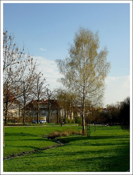 Po wiosennej burzy zazielenił się nasz park.
