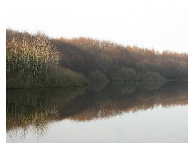 Jezioro Troyl (Piastowo) (Listopad 2006)