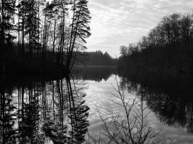  
Jelenia Dolina k.Elbląga