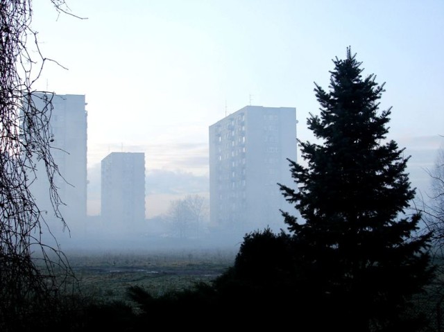 Bloki w porannej mgle (Grudzień 2006)