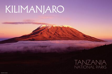  
KILIMANJARO