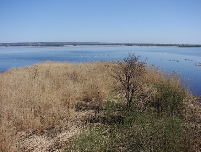  
Rezerwat Przyrody-Jezioro Drużno