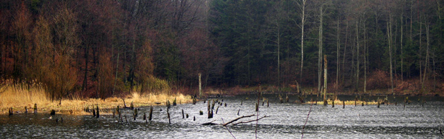 Deszczowa Jelenia Dolina (a smoków brak)
