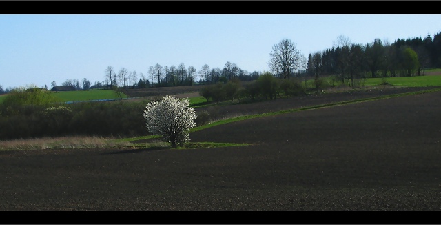 "Kwiecień"... Wysoczyzna... lepiej ogladać w ciemnym pomieszczeniu ;-)