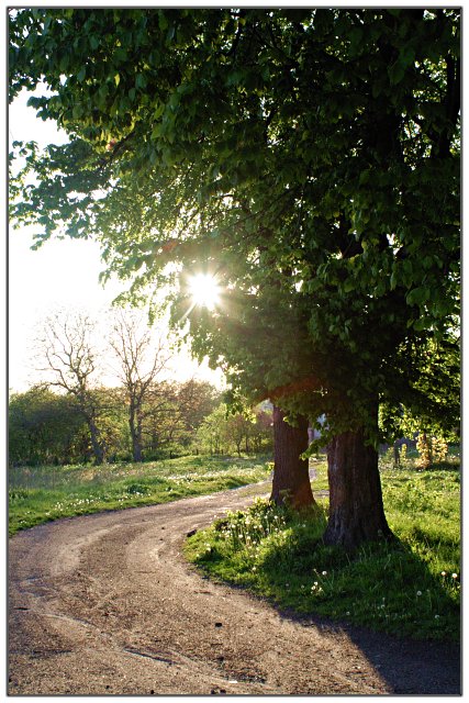 Popołudniowy spokój - okolice ul. częstochowskiej (Maj 2007)