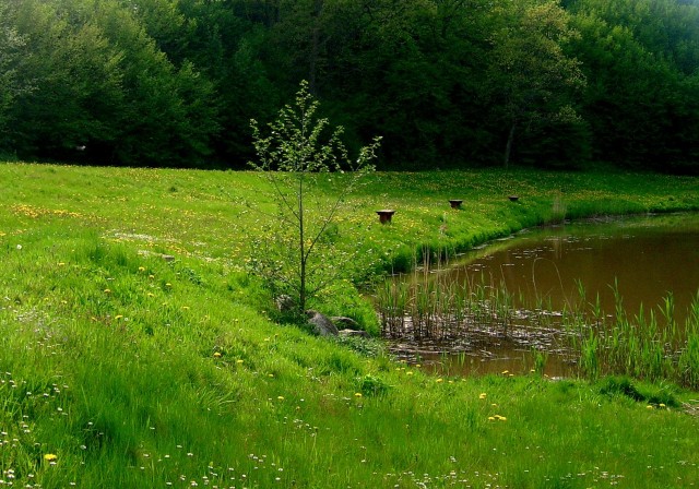 Polanka nad jeziorem-Tolkmicko