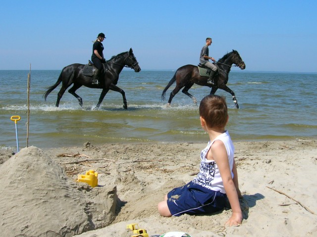 Jadą konie...