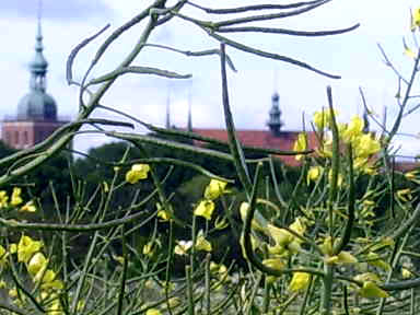 Punkt widzenia zależy od miejsca siedzenia (Maj 2007)